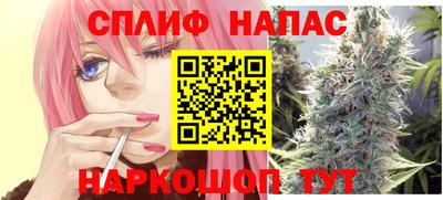 мдпв Бийск