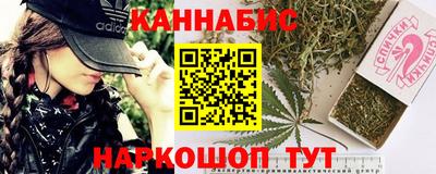 мдпв Бийск