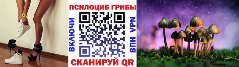 Псилоцибиновые грибы Psilocybine cubensis Димитровград