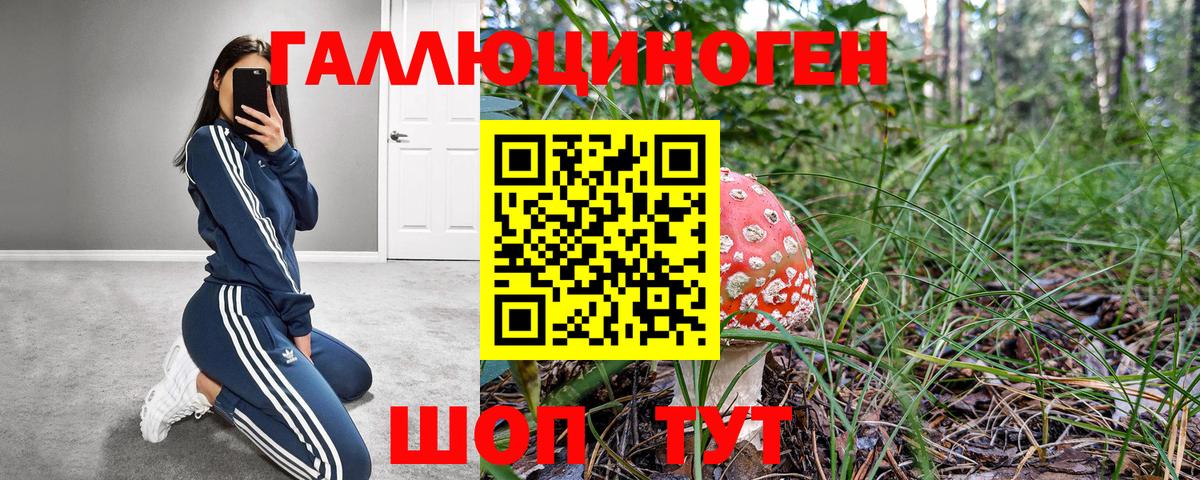 Галлюциногенные грибы Magic Shrooms  Вход с VPN  Димитровград 