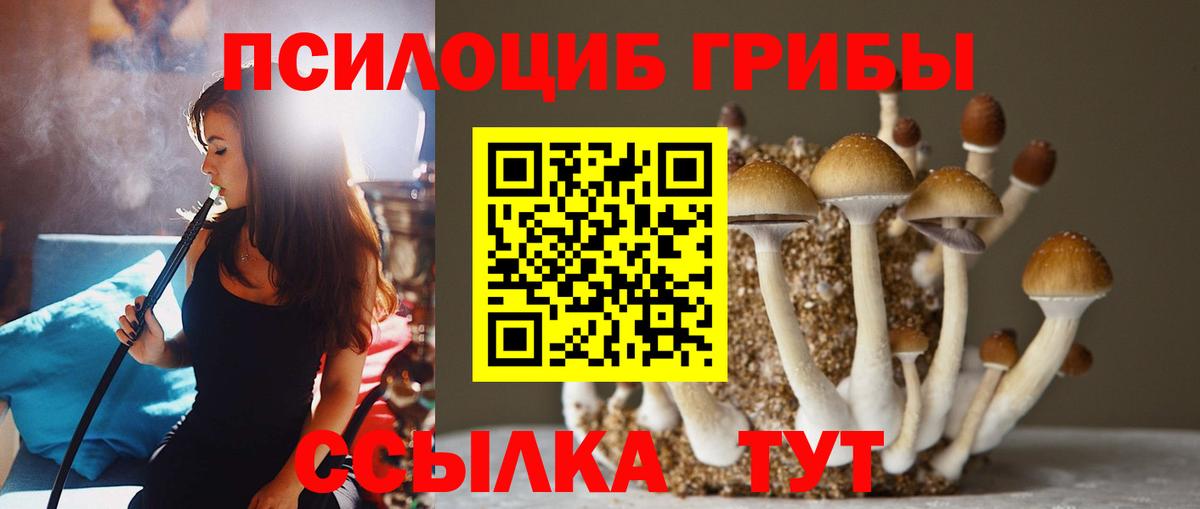 Псилоцибиновые грибы ЛСД Димитровград